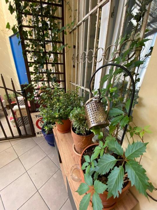 Apartament On Miodowa